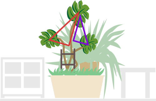 Доминирующее растение