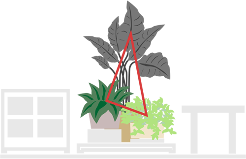 Три растения в композиции