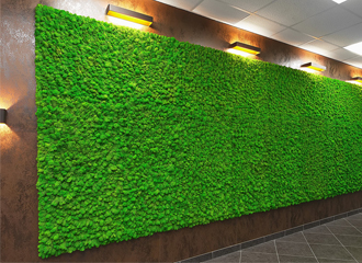 Озеленение способом фито-стены из стабилизированного мха