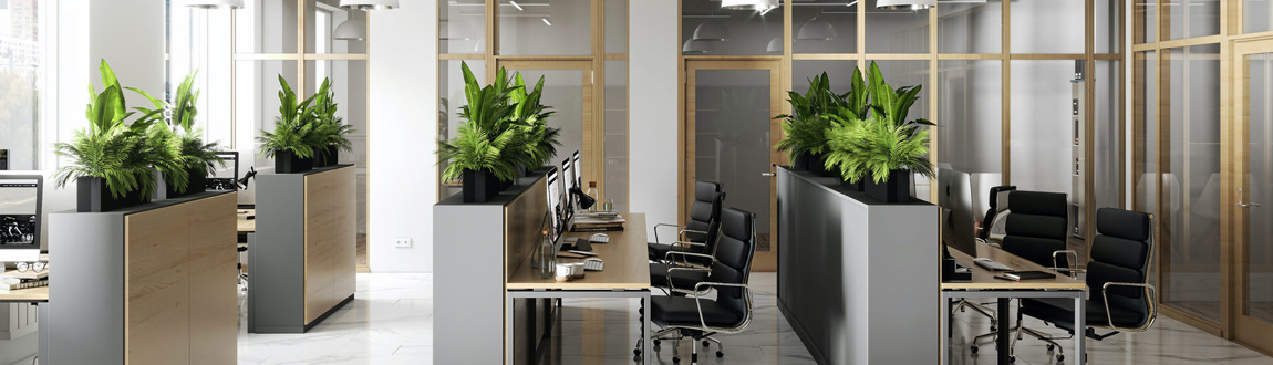 офисное помещение с живыми растениями
