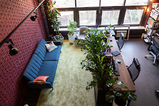 Фрагмент интерьера офиса ОфисТаймс с живыми растениями